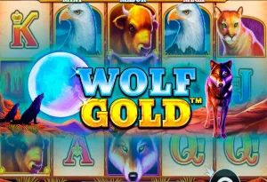 Wolf Gold bei Legiano